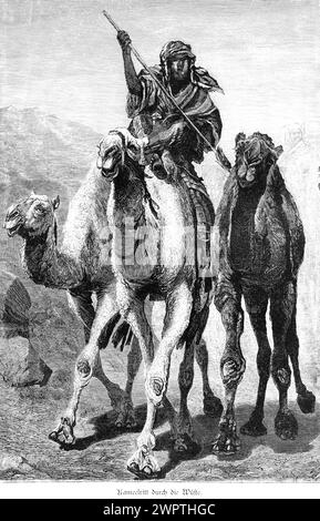 Balade à dos de chameau à travers le désert, Egypte, Arabes, bâton, Afrique, illustration historique 1890 Banque D'Images