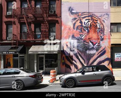 Peinture murale peinte à la main avec tête de tigre, devant un mini convertible, quartier SoHo, Manhattan, New York City, New York, ÉTATS-UNIS Banque D'Images