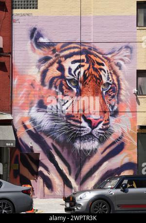 Peinture murale peinte à la main avec tête de tigre, quartier SoHo, Manhattan, New York, New York, ÉTATS-UNIS Banque D'Images