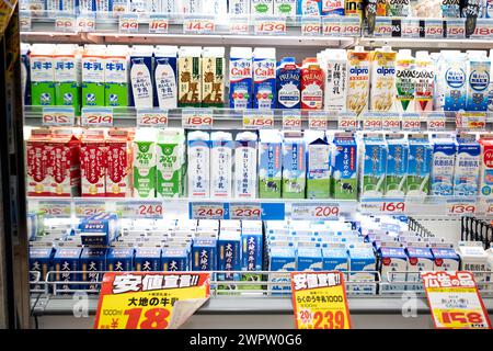 Divers produits laitiers dans un supermarché japonais. Banque D'Images