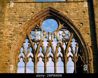 Vue à l'ouest de la trace dans la fenêtre ouest de l'église monastique cistercienne de Tintern Abbey, Monmouthshire, pays de Galles, Royaume-Uni. Banque D'Images