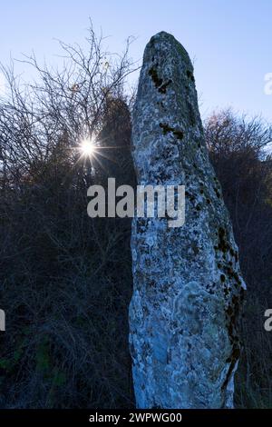 Menhir de Ribolta entre Bóveda et Ankillas. Vallée de Valdegovia. Alava. Pays Basque. Espagne. Europe Banque D'Images