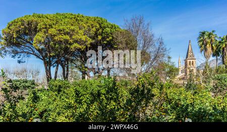 Jardin méditerranéen luxuriant avec citronniers et cloche de l'église à Soller Banque D'Images