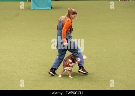 Birmingham Royaume-Uni. 9 mars 2024. Crufts 2024 Internatonal Freestyle Heelwork to Music Genting Arena, main Arena crédit : victoria elsmore/Alamy Live News Banque D'Images