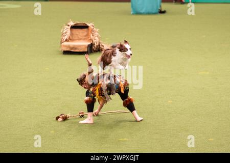 Birmingham Royaume-Uni. 9 mars 2024. Crufts 2024 Internatonal Freestyle Heelwork to Music Genting Arena, main Arena crédit : victoria elsmore/Alamy Live News Banque D'Images