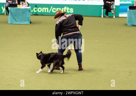 Birmingham Royaume-Uni. 9 mars 2024. Crufts 2024 Internatonal Freestyle Heelwork to Music Genting Arena, main Arena crédit : victoria elsmore/Alamy Live News Banque D'Images