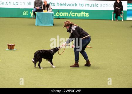 Birmingham Royaume-Uni. 9 mars 2024. Crufts 2024 Internatonal Freestyle Heelwork to Music Genting Arena, main Arena crédit : victoria elsmore/Alamy Live News Banque D'Images