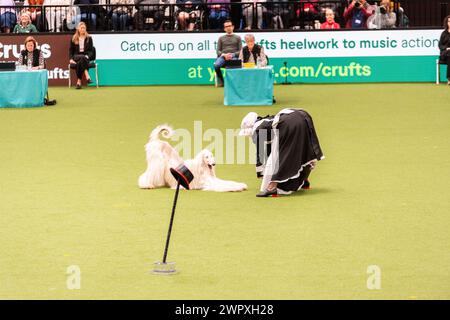 Birmingham Royaume-Uni. 9 mars 2024. Crufts 2024 Internatonal Freestyle Heelwork to Music Genting Arena, main Arena crédit : victoria elsmore/Alamy Live News Banque D'Images