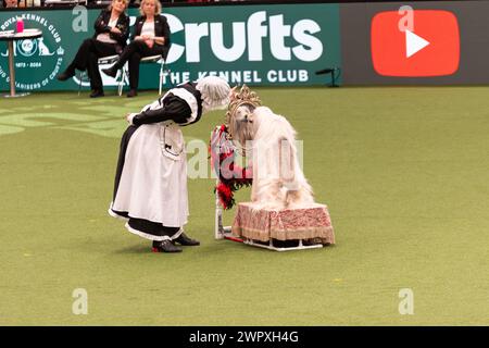 Birmingham Royaume-Uni. 9 mars 2024. Crufts 2024 Internatonal Freestyle Heelwork to Music Genting Arena, main Arena crédit : victoria elsmore/Alamy Live News Banque D'Images