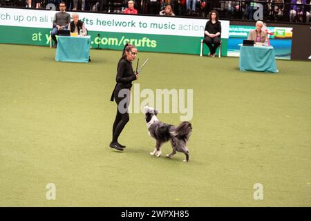 Birmingham Royaume-Uni. 9 mars 2024. Crufts 2024 Internatonal Freestyle Heelwork to Music Genting Arena, main Arena crédit : victoria elsmore/Alamy Live News Banque D'Images