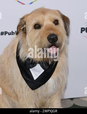 8 mars 2024, Beverly Hilly, Californie, États-Unis : Ukai assiste au 61e ICG Publicists Awards. (Crédit image : © Billy Bennight/ZUMA Press Wire) USAGE ÉDITORIAL SEULEMENT! Non destiné à UN USAGE commercial ! Banque D'Images