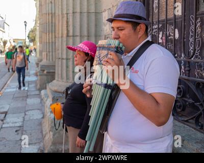 Oaxaca, Mexique - Un homme joue des tuyaux de casserole, tandis qu'une femme aveugle recueille des pourboires. Ils sont sur l'Alcala, une rue piétonne seulement. Banque D'Images