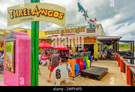 COZUMEL, MEXIQUE - 25 janvier 2024 : Cozumel est une île de la mer des Caraïbes au large de la côte est de la péninsule de Yucat n au Mexique, en face de Playa del Banque D'Images