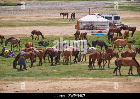 KHOVD, MONGOLIE - 06 JUILLET 2017 : camp nomade mongol. Chevaux et voiture près de yourte traditionnelle mongole. Banque D'Images