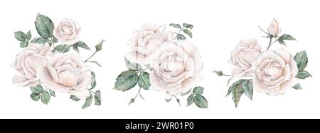 Ensemble de rose crème blanche, fleurs de jardin de collection, feuilles. Illustration de peinture à la main aquarelle Clipart sur fond blanc isolé. Élément Banque D'Images