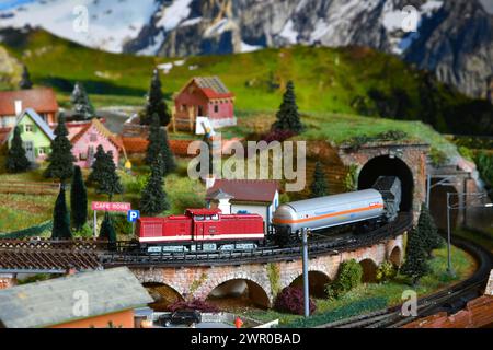 Modèle de chemin de fer miniature avec train de marchandises modèle qui sort d'un tunnel sur une ambiance de montagne. Train jouet Banque D'Images