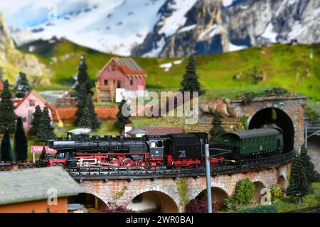 Modèle de chemin de fer miniature avec modèle de train de locomotive à vapeur qui sort d'un tunnel sur une ambiance de montagne. Train jouet Banque D'Images