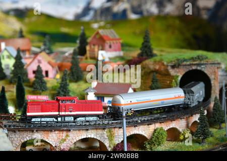 Modèle de chemin de fer miniature avec train de marchandises modèle qui sort d'un tunnel sur une ambiance de montagne. Train jouet Banque D'Images