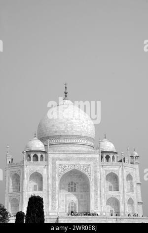 Vue partielle du Taj Mahal, site du patrimoine mondial de l'UNESCO, Agra, Uttar Pradesh, Inde Banque D'Images