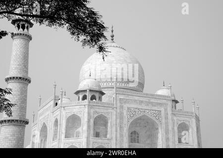 Vue partielle du Taj Mahal, site du patrimoine mondial de l'UNESCO, Agra, Uttar Pradesh, Inde Banque D'Images