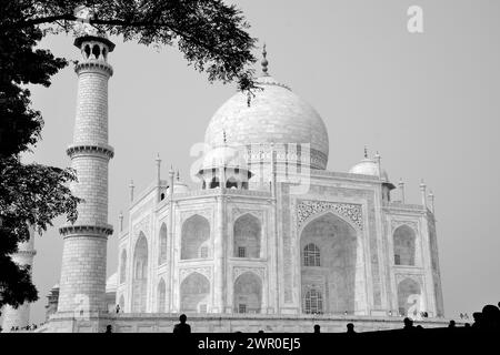 Vue partielle du Taj Mahal, site du patrimoine mondial de l'UNESCO, Agra, Uttar Pradesh, Inde Banque D'Images