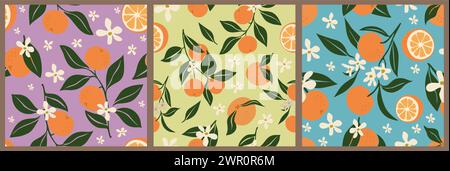 Ensemble de motifs sans couture avec des fruits orange. Illustration de Vecteur