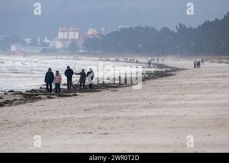 Strandwetter auf Ruegen Urlauber spazieren durch angespueltes Seegras und Tang am Strand von Binz an der Ostkueste der Insel Ruegen. Auf Deutschlands groesster Insel beginnt gerade die neue Tourismussaison. Binz Mecklenburg-Vorpommern Deutschland *** plage météo sur Ruegen vacanciers marchent à travers les algues et varech lavés sur la plage de Binz sur la côte est de l'île de Ruegen la nouvelle saison touristique commence juste sur la plus grande île allemande Binz Mecklenburg-Vorpommern Allemagne Banque D'Images