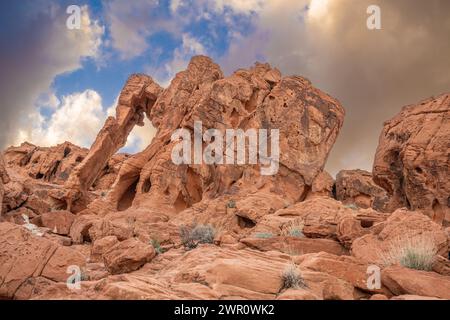 Elephant Rock Valley of Fire State Park Nevada au coucher du soleil - randonnée dans les formations rocheuses de grès - randonnée dans le désert de Mojave / Mohave près de Las Vegas États-Unis Banque D'Images