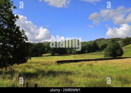 Vue estivale sur le village d'Elterwater, Langdale, Lake District National Park, Cumbria, Angleterre, Royaume-Uni Banque D'Images