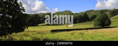 Vue estivale sur le village d'Elterwater, Langdale, Lake District National Park, Cumbria, Angleterre, Royaume-Uni Banque D'Images