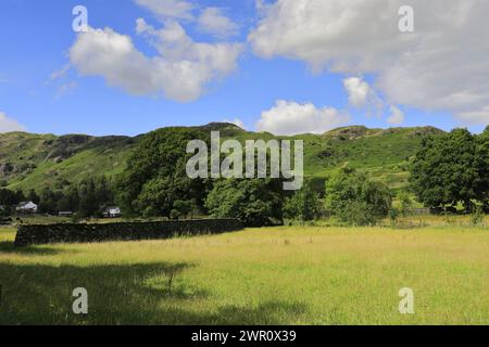 Vue estivale sur le village d'Elterwater, Langdale, Lake District National Park, Cumbria, Angleterre, Royaume-Uni Banque D'Images