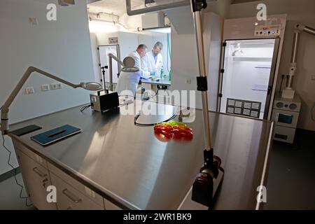 Aschersleben, Allemagne. 05 mars 2024. Ronald Braune (à gauche) et Michael Kammler (détective en chef) travaillent à l'académie de police du centre de formation médico-légale, où les futurs officiers de police criminelle peuvent également être formés à des niveaux de compétence supérieurs. Crédit : Matthias Bein/dpa/Alamy Live News Banque D'Images