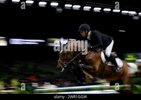 DEN BOSCH - Willem Greve (NED) sur l'autoroute TN NOP remporte le Rolex Grand Prix, Jumping International avec saut-off, au Masters néerlandais dans le Brabanthallen. PONCEUSE ANP KONING Banque D'Images