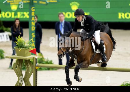 DEN BOSCH - Willem Greve (NED) sur l'autoroute TN NOP lors du Rolex Grand Prix, Jumping International avec saut-off, au Masters néerlandais dans le Brabanthallen. PONCEUSE ANP KONING Banque D'Images