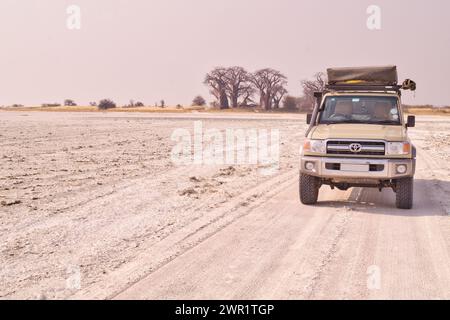 Un véhicule hors route avec tente pliante sur le toit stationné au milieu d'un lit de lac sec couvert de sel avec une île avec des baobabs à l'arrière Banque D'Images