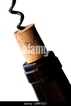 Liège naturel retiré de la bouteille foncée. Isolé sur fond blanc. Studio. Mise au point sélective peu profonde. Vignes estampillées sur liège générique. Aucun droit Banque D'Images