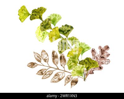 Composition avec branche de gingko et feuilles de rowan. Empreinte de feuilles d'automne. Illustration aquarelle pour la décoration, la conception, l'étiquette et le logo. Jour de Thanksgiving Banque D'Images