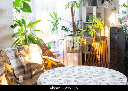 Table ronde vide pour l'installation et la démonstration du produit à l'intérieur avec des plantes tropicales d'intérieur dans la maison verte de pays. Plante d'intérieur cultivant Banque D'Images