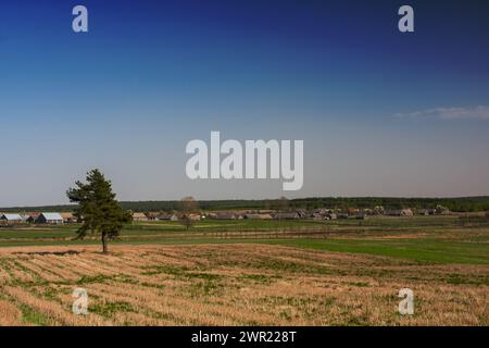 Paysage rural idyllique avec un champ cultivé et un règlement au loin, petites maisons de campagne Banque D'Images