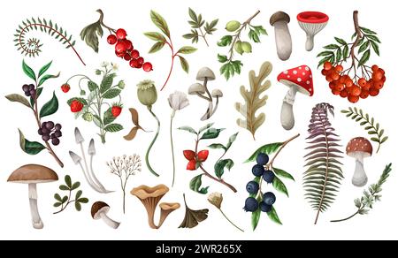 Automne plus grand ensemble de champignons, baies, feuilles, etc Illustration de Vecteur