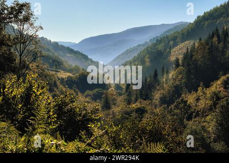 Paysage d'automne sur la vallée de montagne dans la brume du matin, sud-ouest de la Serbie Banque D'Images