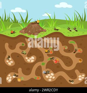 Illustration de fourmilier de bande dessinée. Mignonnes petites fourmis qui travaillent et bougent. Forêt ou jardin faune, passages souterrains et colline. Scène de nature vectorielle de Nowaday Illustration de Vecteur