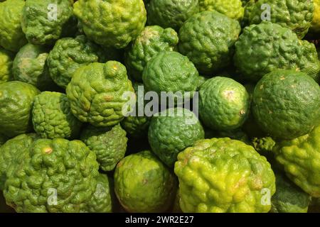 Gros plan sur une pile de limes Kaffir sur un stand de marché. Banque D'Images