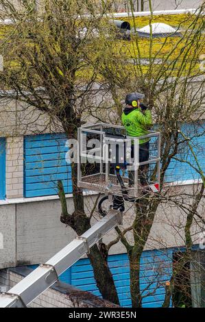 Soin des arbres avec plate-forme de travail, Kempten, Allgaeu, Bavière, Allemagne Banque D'Images