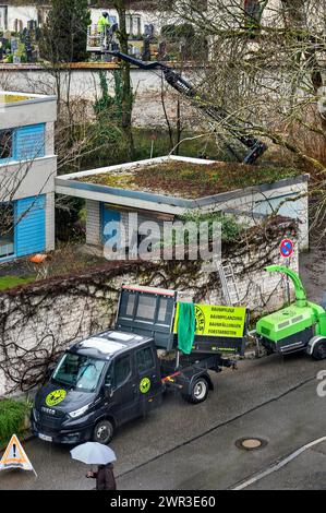 Soin des arbres avec plate-forme de travail, Kempten, Allgaeu, Bavière, Allemagne Banque D'Images