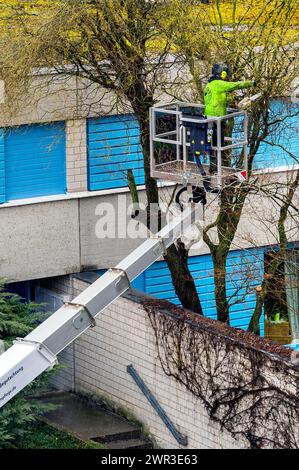 Soin des arbres avec plate-forme de travail, Kempten, Allgaeu, Bavière, Allemagne Banque D'Images