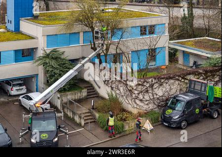 Soin des arbres avec plate-forme de travail, Kempten, Allgaeu, Bavière, Allemagne Banque D'Images