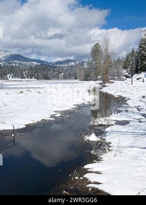 Un petit ruisseau traverse un champ enneigé en hiver dans le nord de l'Idaho. Banque D'Images