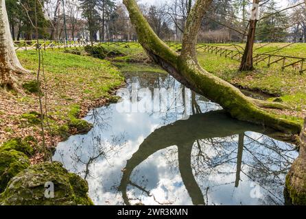 Parc Sempione (Parco Sempione) à Milan, Italie Banque D'Images