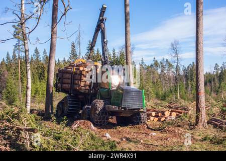 Transporteur conduisant sur un chemin de terre sur une coupe à blanc Banque D'Images